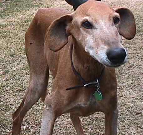 Jeffrey Trojanovich in Calhan.